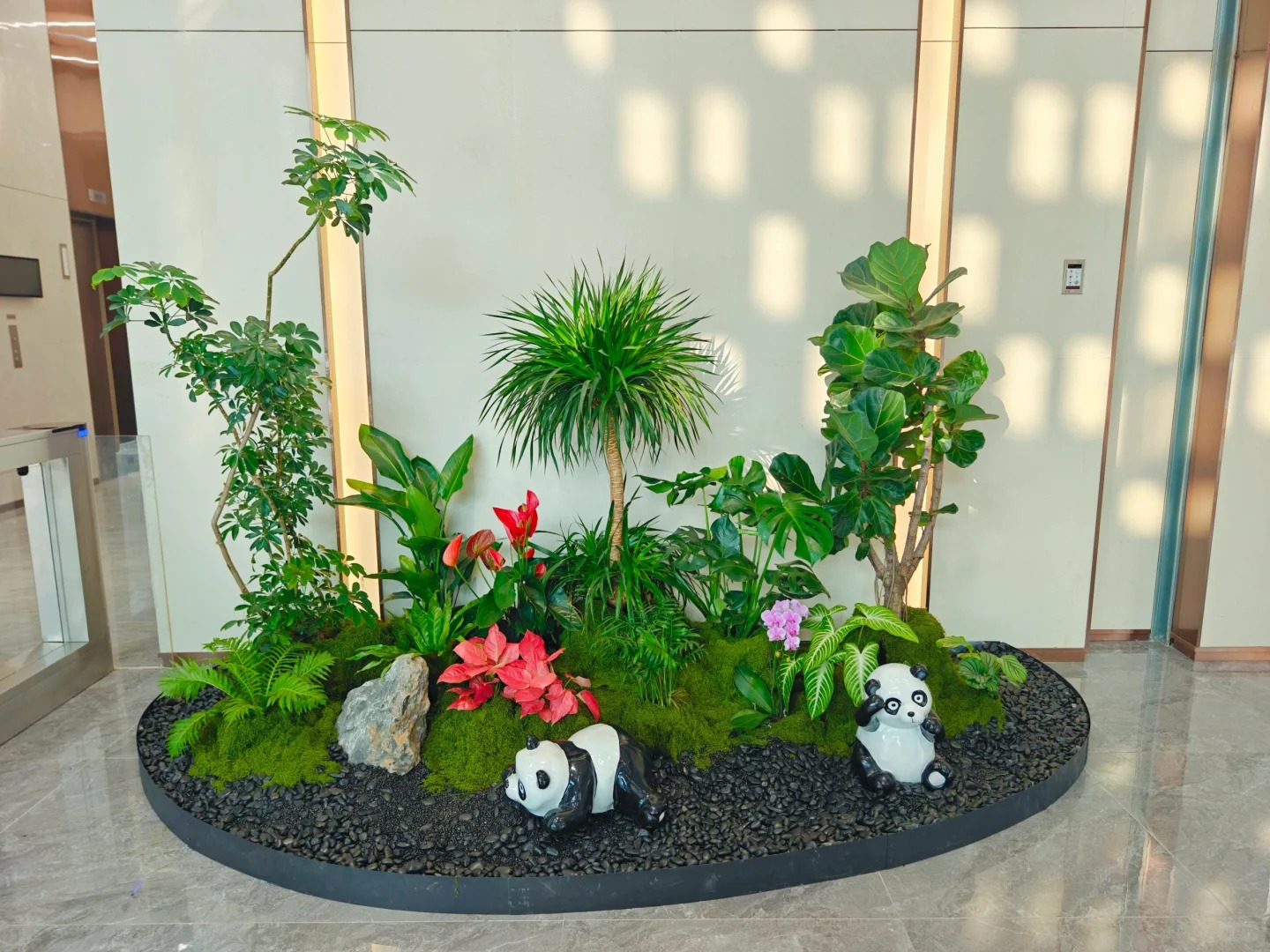 为宁波余姚量身定制的绿植出租方案，快来瞧